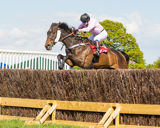 Race 4 - Ladies Open (42 of 78)