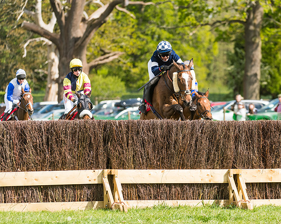 Race 4 - Ladies Open (47 of 78)