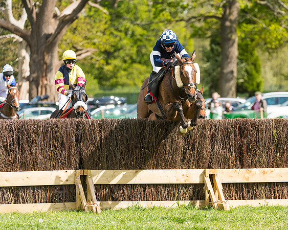 Race 4 - Ladies Open (48 of 78)