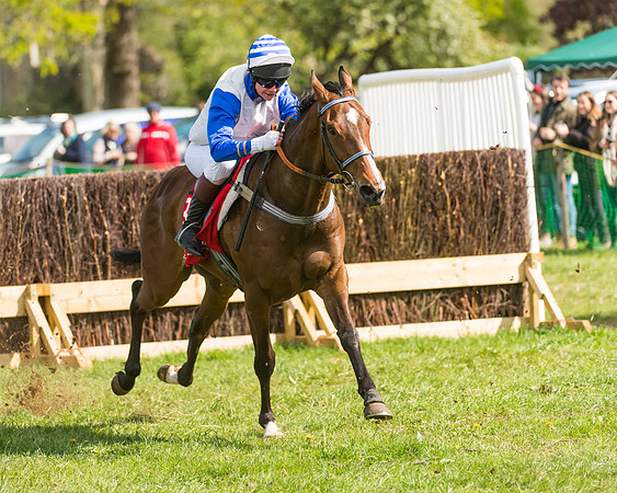 Race 4 - Ladies Open (56 of 78)