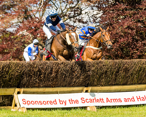 Race 4 - Ladies Open (58 of 78)