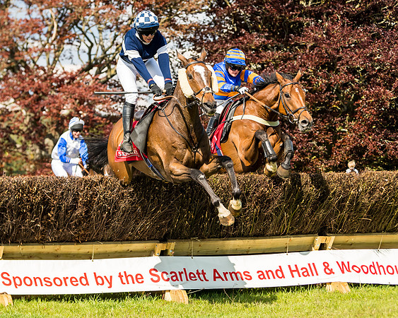 Race 4 - Ladies Open (60 of 78)