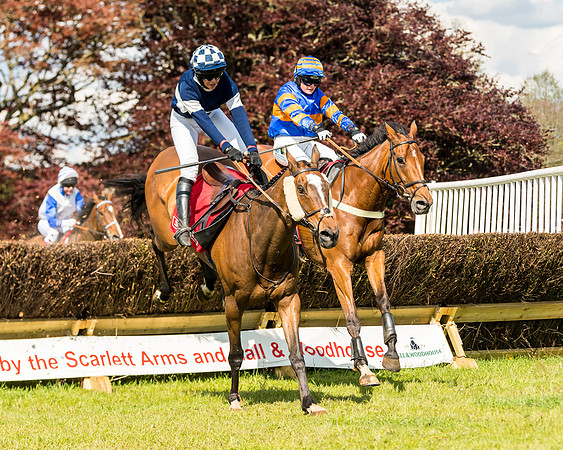 Race 4 - Ladies Open (63 of 78)
