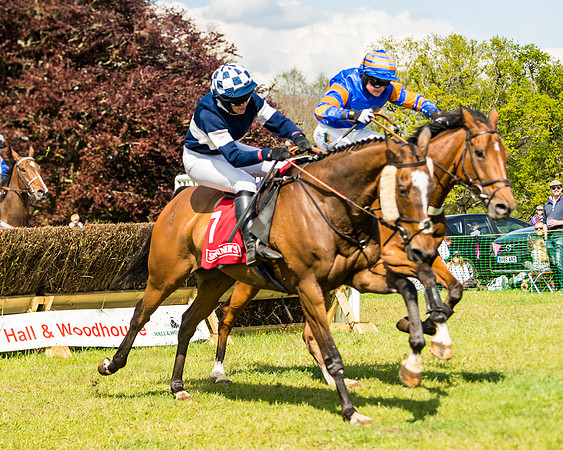 Race 4 - Ladies Open (67 of 78)