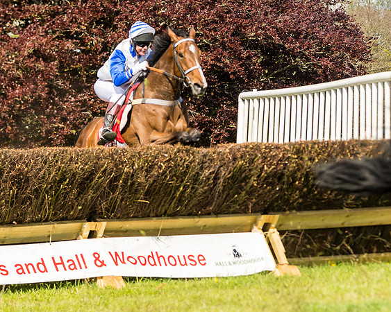 Race 4 - Ladies Open (68 of 78)