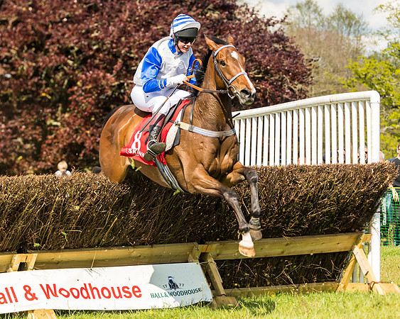 Race 4 - Ladies Open (70 of 78)