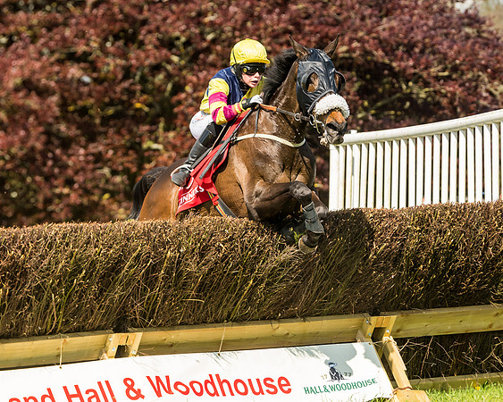 Race 4 - Ladies Open (73 of 78)