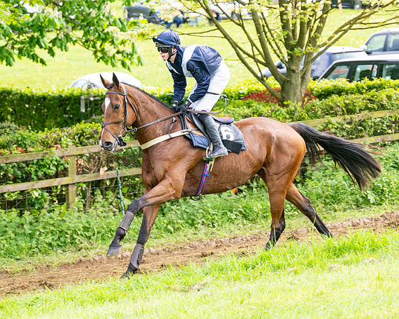 Race 5  - Novice riders (43 of 188)