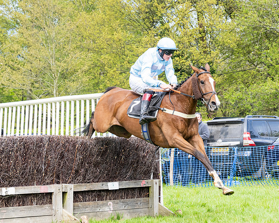 Race 2 - Veteran Horse (67 of 80)