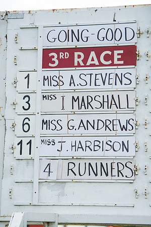 Race 3 - Ladies Open  (1 of 63)