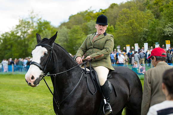 Race 3 - Ladies Open  (2 of 63)