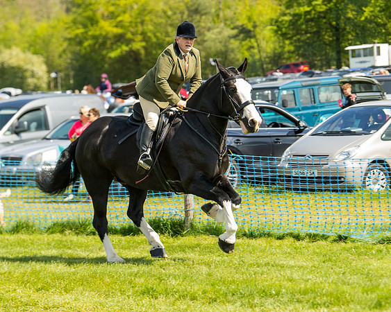 Race 3 - Ladies Open  (4 of 63)
