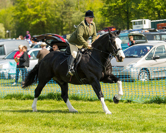Race 3 - Ladies Open  (5 of 63)