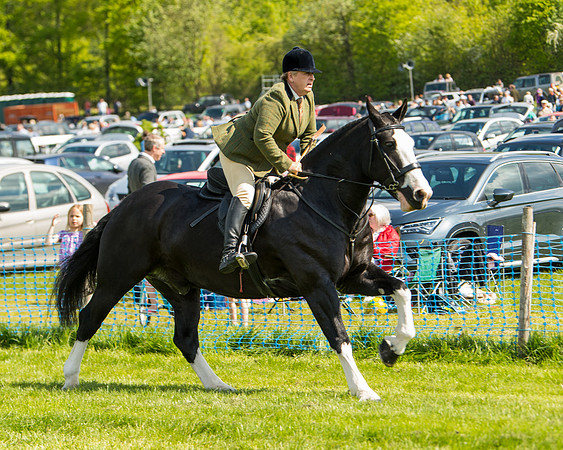 Race 3 - Ladies Open  (6 of 63)