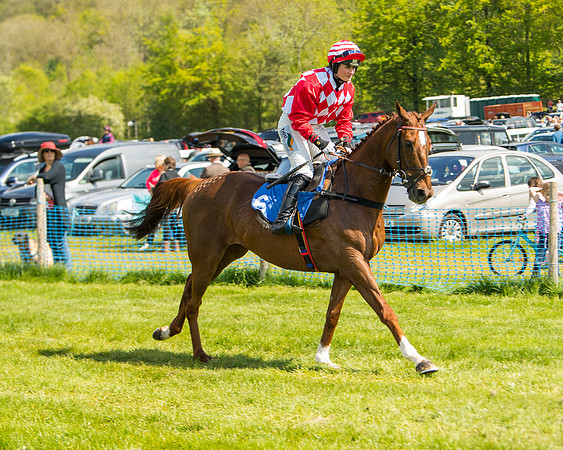 Race 3 - Ladies Open  (8 of 63)