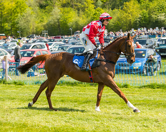 Race 3 - Ladies Open  (9 of 63)