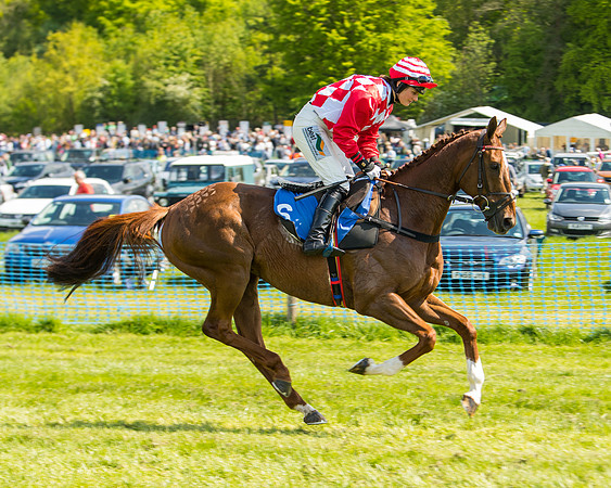 Race 3 - Ladies Open  (10 of 63)