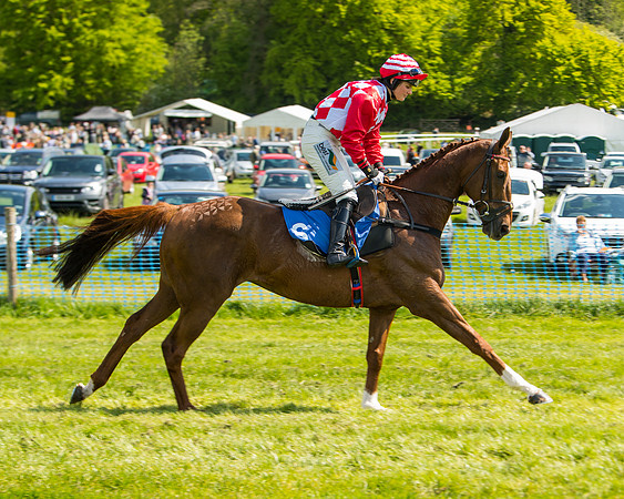 Race 3 - Ladies Open  (11 of 63)