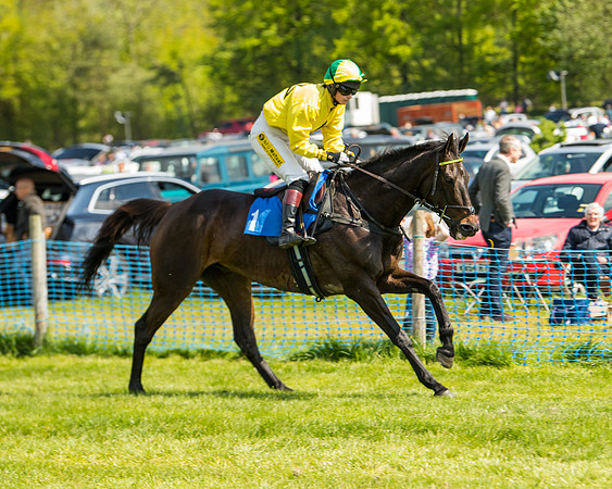 Race 3 - Ladies Open  (12 of 63)