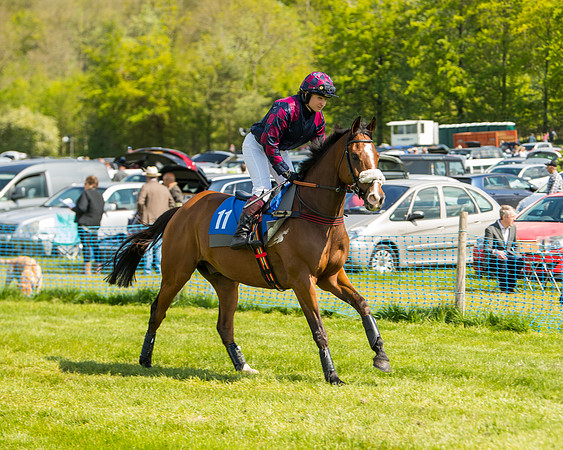 Race 3 - Ladies Open  (16 of 63)