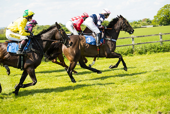 Race 3 - Ladies Open  (32 of 63)