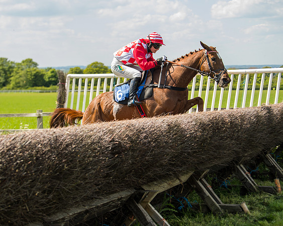 Race 3 - Ladies Open  (42 of 63)