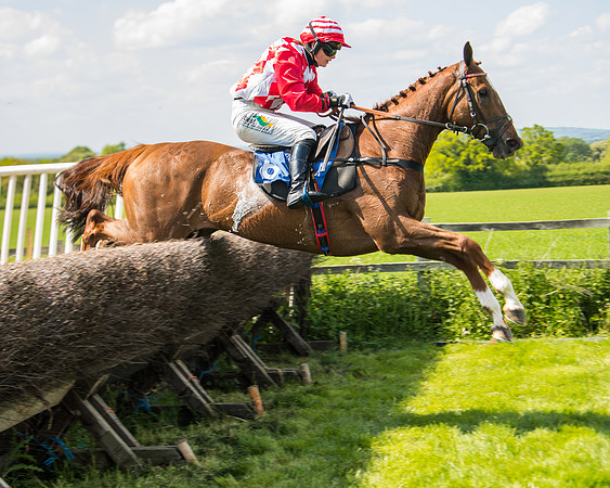 Race 3 - Ladies Open  (45 of 63)