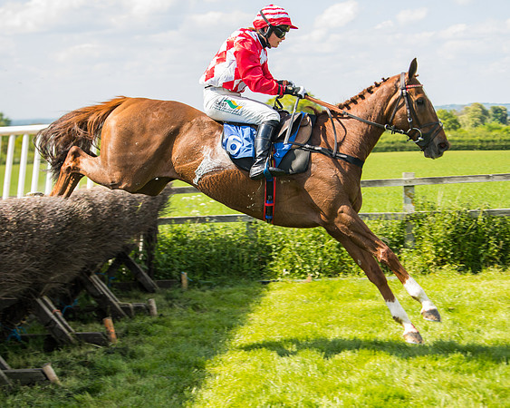 Race 3 - Ladies Open  (46 of 63)