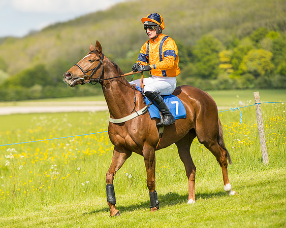 Race 4  - Mens Open [2m4f] (23 of 73)