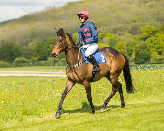 Race 4  - Mens Open [2m4f] (24 of 73)