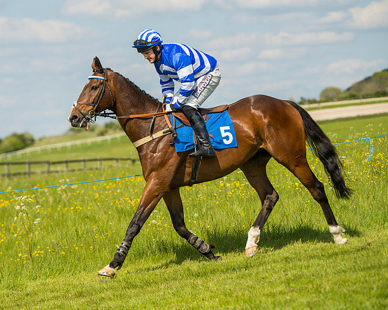 Race 4  - Mens Open [2m4f] (25 of 73)