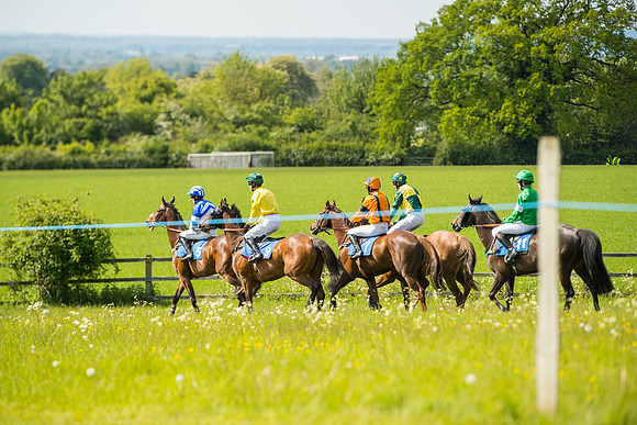 Race 4  - Mens Open [2m4f] (29 of 73)