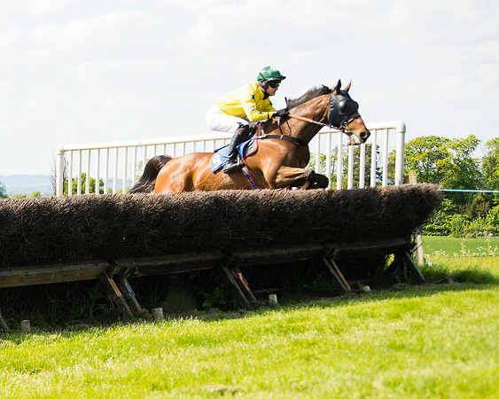 Race 4  - Mens Open [2m4f] (33 of 73)