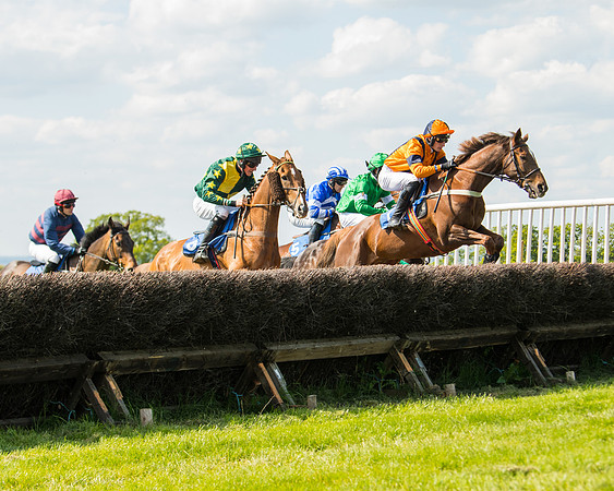 Race 4  - Mens Open [2m4f] (34 of 73)