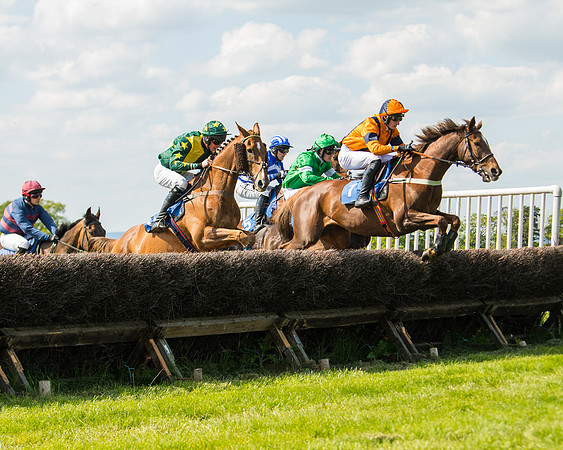 Race 4  - Mens Open [2m4f] (35 of 73)