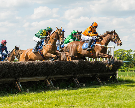 Race 4  - Mens Open [2m4f] (36 of 73)