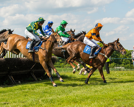 Race 4  - Mens Open [2m4f] (39 of 73)