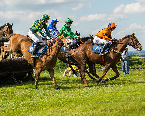 Race 4  - Mens Open [2m4f] (40 of 73)