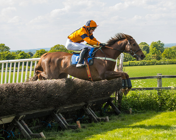 Race 4  - Mens Open [2m4f] (45 of 73)