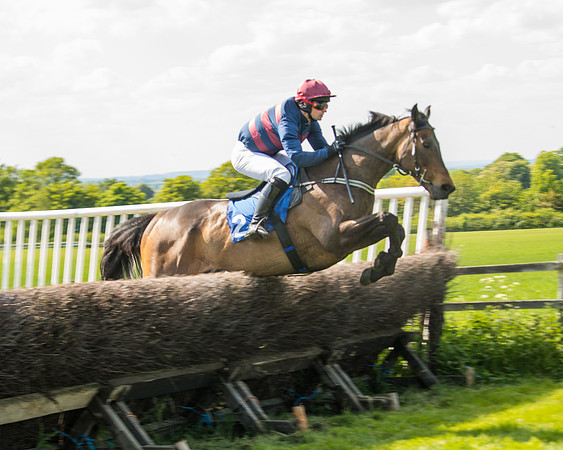 Race 4  - Mens Open [2m4f] (46 of 73)