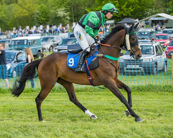 Race 5 - Intermediate  (5 of 37)