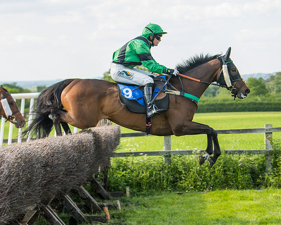 Race 5 - Intermediate  (16 of 37)