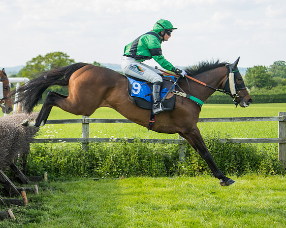 Race 5 - Intermediate  (17 of 37)