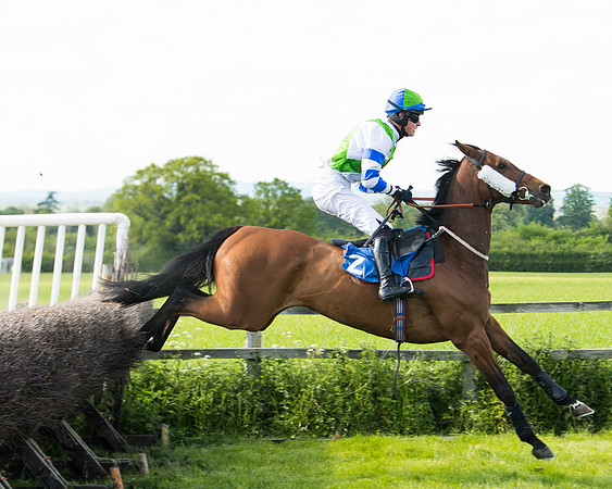 Race 5 - Intermediate  (19 of 37)