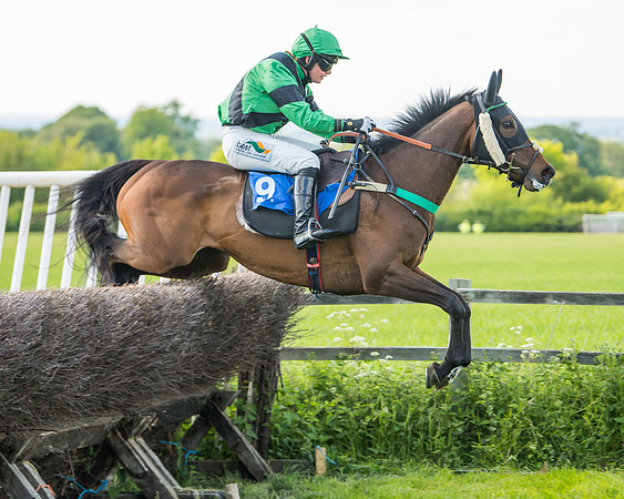 Race 5 - Intermediate  (23 of 37)