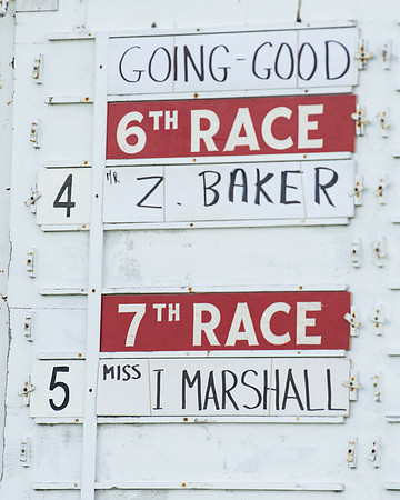 Race 6 - 7 Walk Overs  (1 of 17)