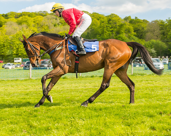 Race 6 - 7 Walk Overs  (11 of 17)