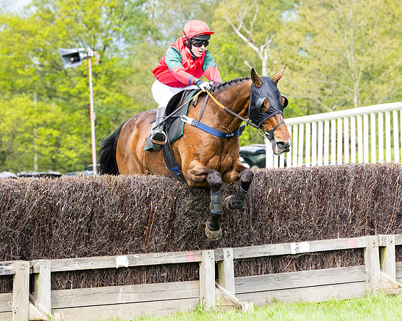 Race 2 - Veteran Horse (77 of 80)