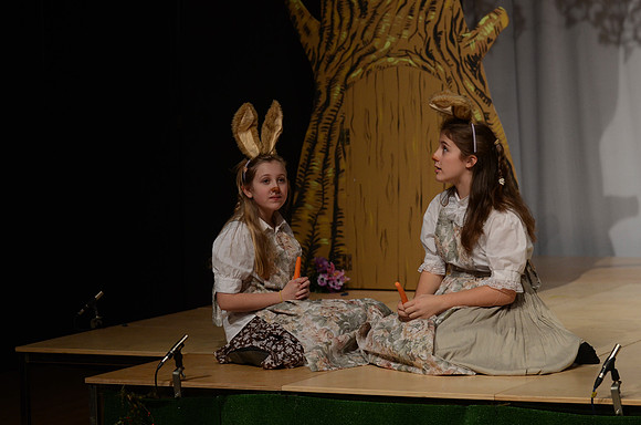 Wind in the Willows Dress 1