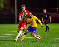 Windsor Fc